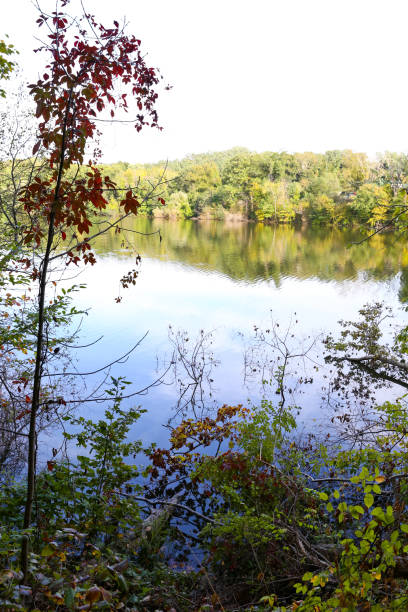 istock Trees over a Lake in Westchester, New York 1132421310