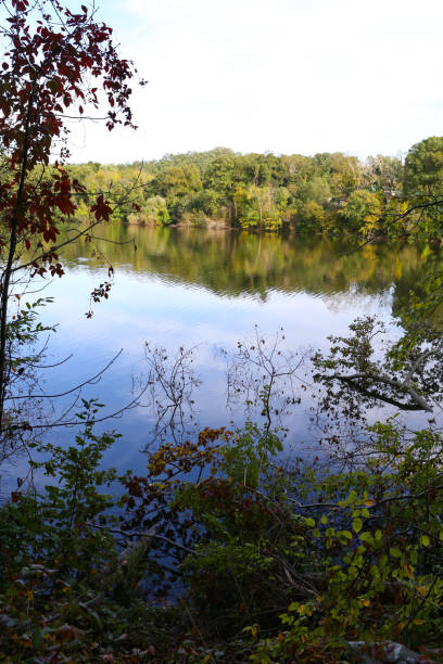 istock Trees over a Lake in Westchester, New York 1132421316