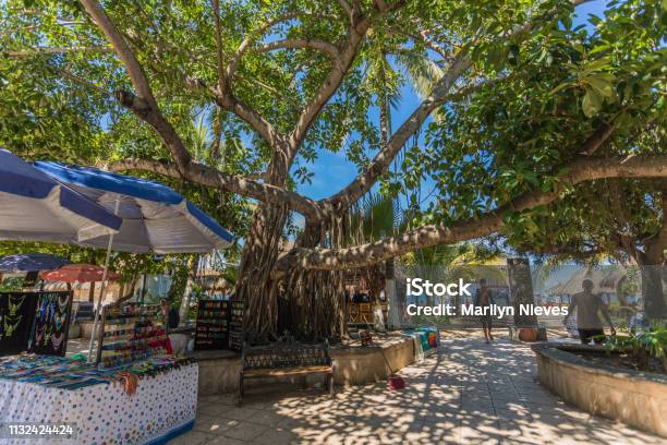 Pueblo Of San Pancho In Mexico Stock Photo - Download Image Now - Mexico, Beach, Nayarit