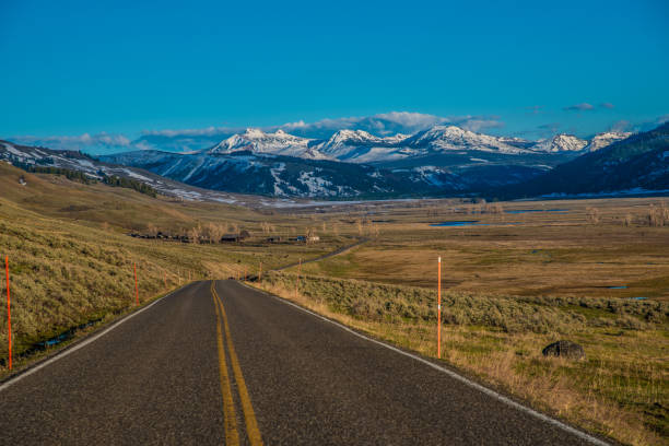 istock Yellowstone Lamar Valley landscapes at Ranger Station 1132425706