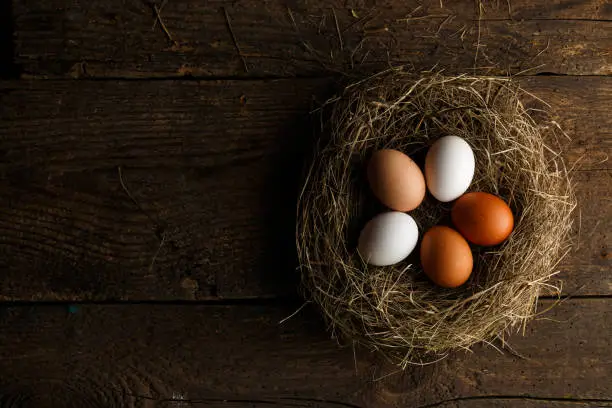 Fresh chicken eggs in a nest on a wooden rustic background