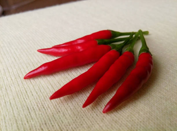 Ripe red pepper Ripe red pepper 成熟 stock pictures, royalty-free photos & images