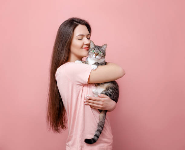 junge attraktive frau umarmt katze in händen, rosa hintergrund - cat woman stock-fotos und bilder