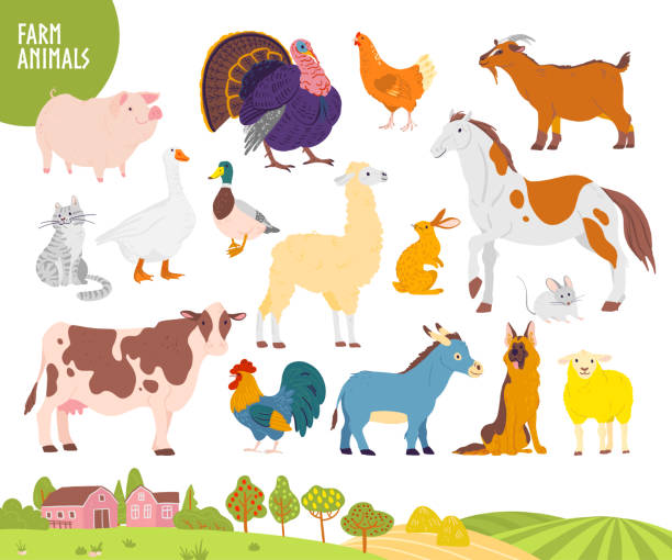 ilustrações, clipart, desenhos animados e ícones de jogo do vetor do animal de exploração agrícola: porco, galinha, vaca, cavalo etc. com a paisagem acolhedor da vila, casa, jardim, campo. - mouse rodent animal field mouse