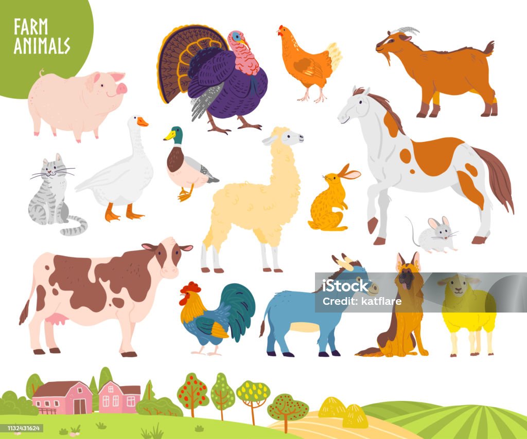 Vector set of farm animal: pig, chicken, cow, horse etc with cozy village landscape, house, garden, field. Vector set of farm animal: pig, chicken, cow, horse etc with cozy village landscape, house, garden, field. White background. Flat hand drawn style. For label, banner, logo, book, alphabet illustration Livestock stock vector