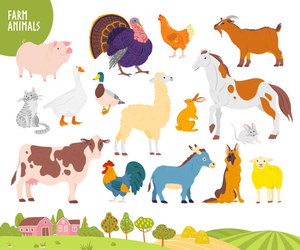 Vector set of farm animal: pig, chicken, cow, horse etc with cozy village landscape, house, garden, field. Vector set of farm animal: pig, chicken, cow, horse etc with cozy village landscape, house, garden, field. White background. Flat hand drawn style. For label, banner, logo, book, alphabet illustration livestock illustrations stock illustrations