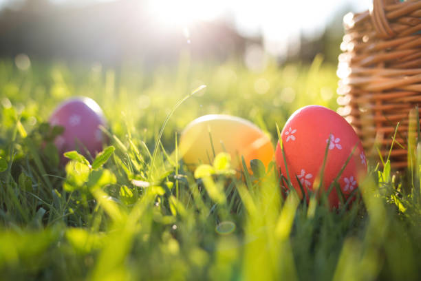 ostereier in einem korb auf dem rasen auf einem sonnigen frühlingstag hautnah - easter egg easter grass spring stock-fotos und bilder