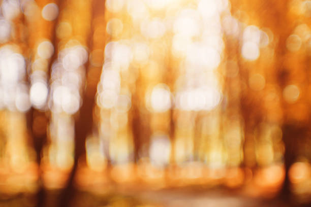 istock Autumnal park. Blurred background. Bright colorful bokeh. 1132435986