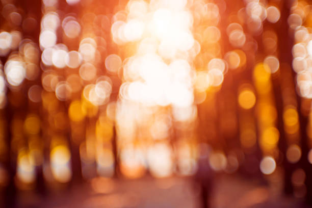 istock Autumnal park. Blurred background. Bright colorful bokeh. 1132436255