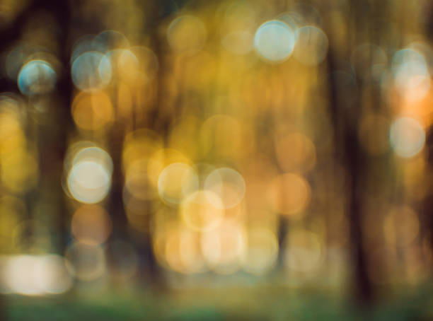 istock Autumnal park. Blurred background. Bright colorful bokeh. 1132437124