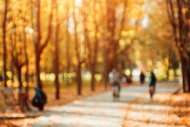 istock Autumnal park. Blurred background. Bright colorful bokeh. 1132437249