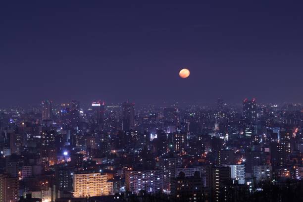 istock Sapporo of Japan's New Three Major Night Scenes 1132438788