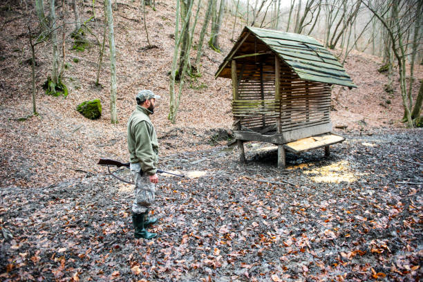 A hunter wielding a rifle is standing next to a feeding hut in the middle of a clearing in forest.