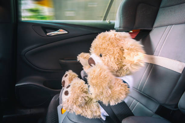 istock Teddy is pushed into the belt at full braking 1132443173