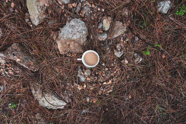 istock coffee with milk in nature 1132448365