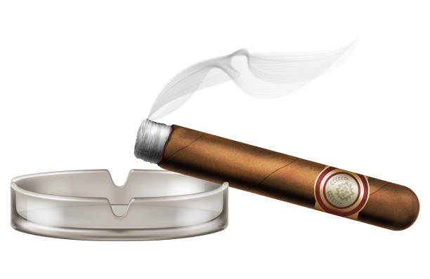 ilustrações de stock, clip art, desenhos animados e ícones de burning cigar with an ashtray and smoke. - charuto