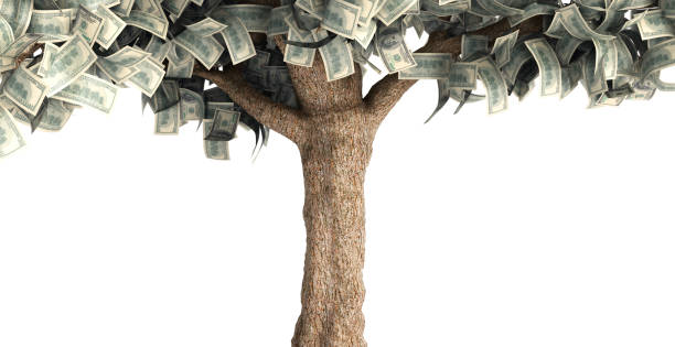 istock dollar tree with hundred dollar bills on white 3d illustration 1132449283
