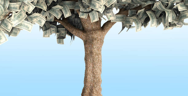 dollar tree with hundred dollar bills on blue 3d illustration stock photo