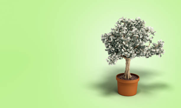 istock dollar tree with hundred dollar bills growing out of the pot 3d render on green 1132449525