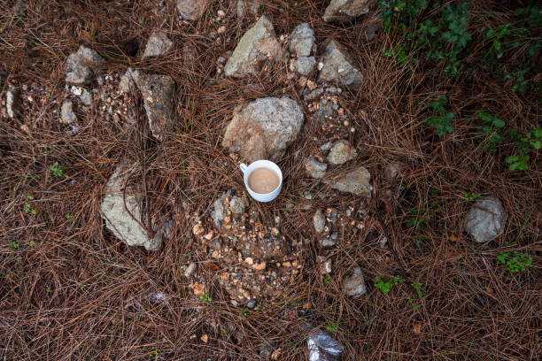 istock coffee with milk in nature 1132450822