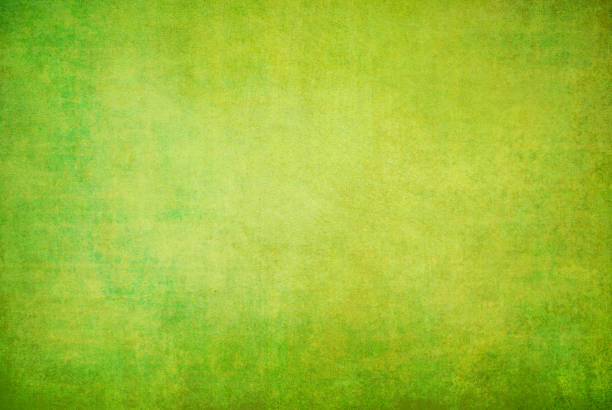 istock highly Detailed grunge background 1132451090