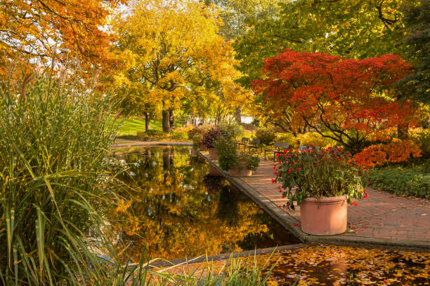 Autumn in the park