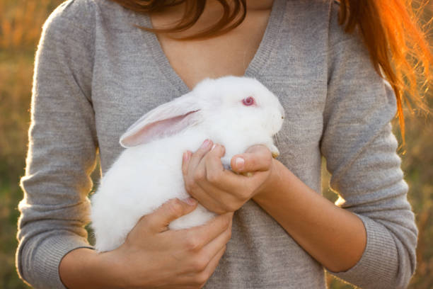 istock the girl with the rabbit.happy 1132457871