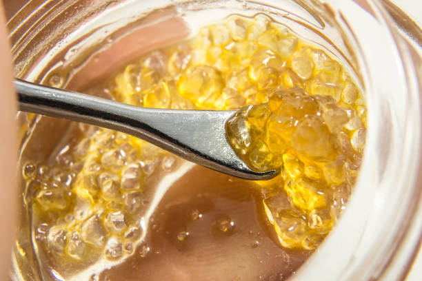 istock Scooping GG4 THCA Crystals In Terpene Sauce 1132458286
