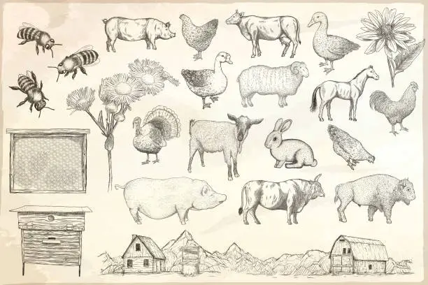 Vector illustration of Collection of farm animals on a paper background