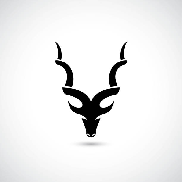 ilustrações, clipart, desenhos animados e ícones de símbolo abstrato do antílope-ilustração do vetor - oryx