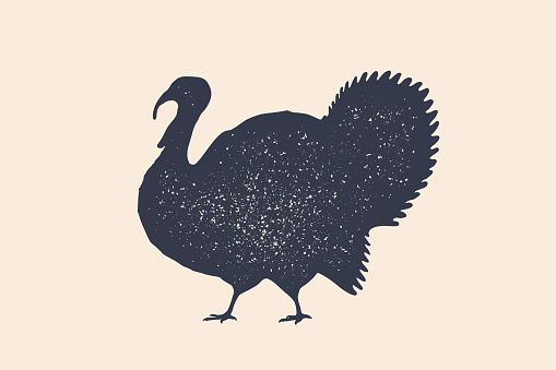 Turkey, bird. Concept design of farm animals - Turkey side view profile. Isolated black silhouette turkey on white background. Vintage retro print, poster, icon. Vector Illustration