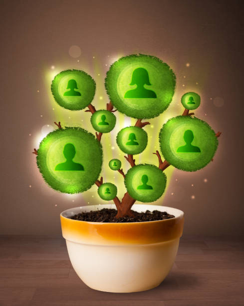 istock Social network tree coming out of flowerpot 1132462811