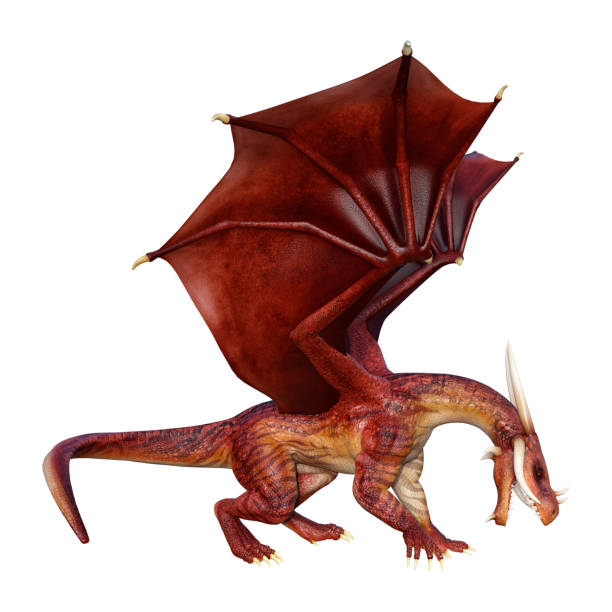 istock 3D illustration red fantasy dragon on white 1132468525
