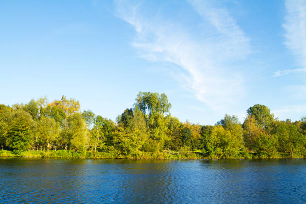 istock River Ruhr and trees in south of Essen 1132468620