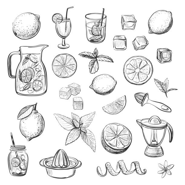 ilustrações de stock, clip art, desenhos animados e ícones de collection of vector sketches lemonade drink - ingrediente ilustrações