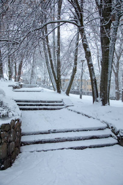 istock Stairs in the park 1132478929