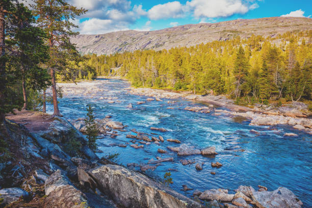 Rough mountain river. Beautiful nature of Norway