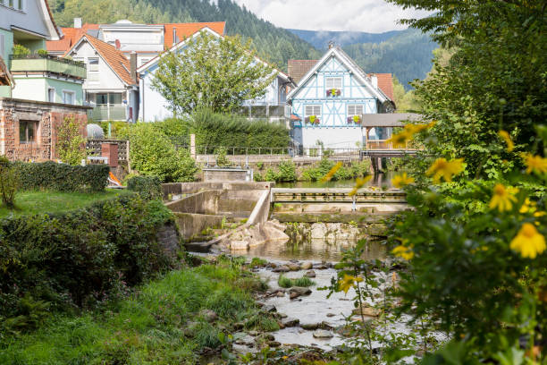 istock Residential houses alongside a canal and stream 1132480290