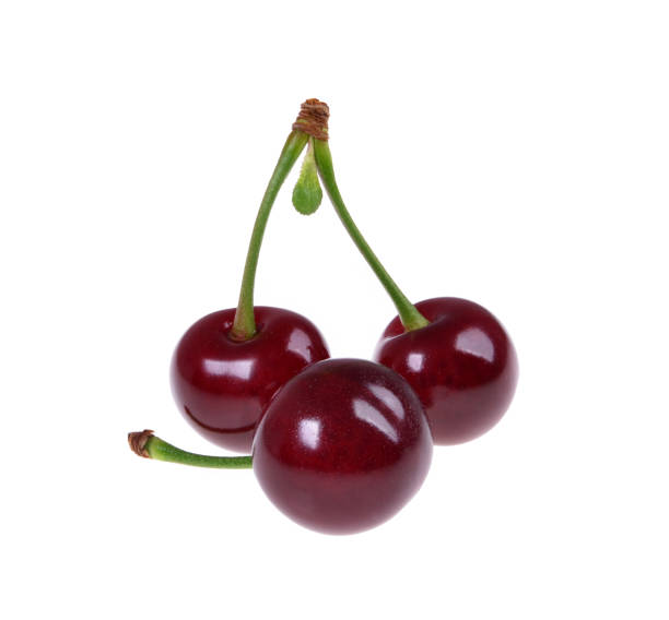 istock Sour cherry on a green leaf isolated 1132480516