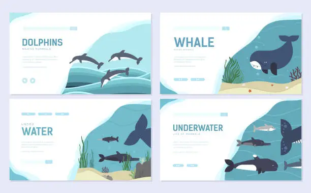 Vector illustration of Set of Sea mammals. Art animal brochure card set. fish in ocean life template of flyer, web banner, ui header, enter site. Layout invitation modern slider