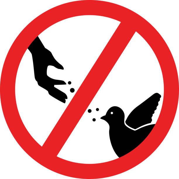 Feeding birds is prohibited Red prohibition sign where the silhouette of the hand feeds the birds animals feeding stock illustrations