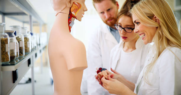 istock Students of medicine examining anatomical model in classroom 1132490564