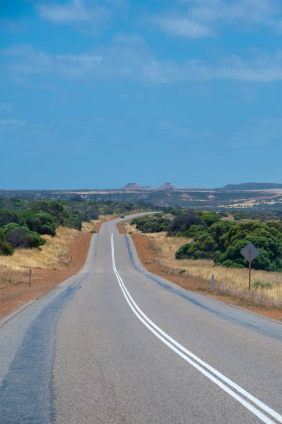 istock Road leading through australian bush landscape during hot spring 1132490780