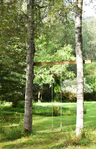 istock Wooden swing hanging in trees 1132492733
