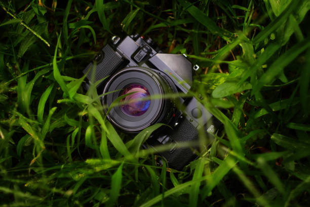 Retro single-lens reflex professional film camera outdoors in the grass