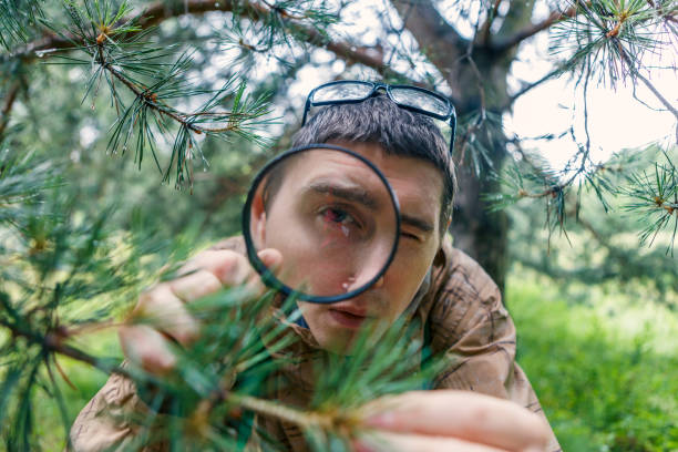 istock Picture of man with magnifying glass 1132495423