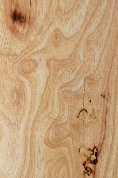 Tree Knar 90+ Knar Stock Photos, Pictures & Royalty-Free Images - iStock