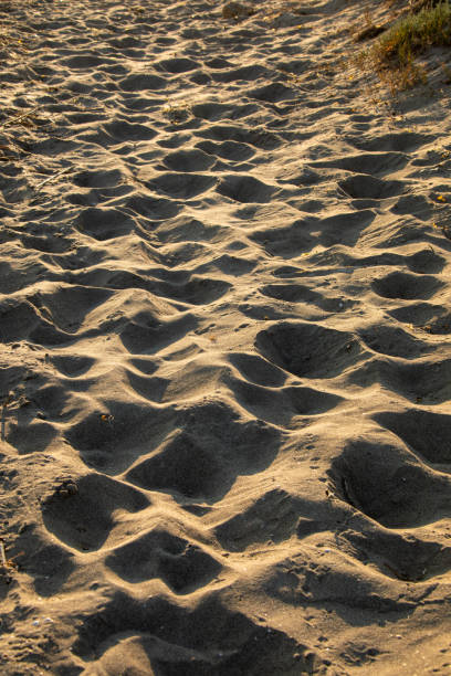 istock Texture of sand and footprints in the sand 1132500530