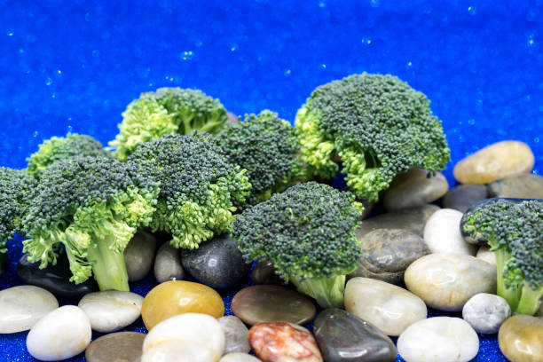 brokoli and pebbles like a beach brokoli stock pictures, royalty-free photos & images