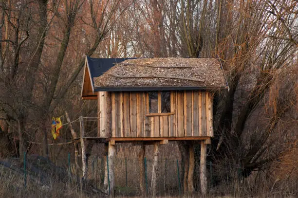 Tree house, cottage, wooden cottage, stalls for children